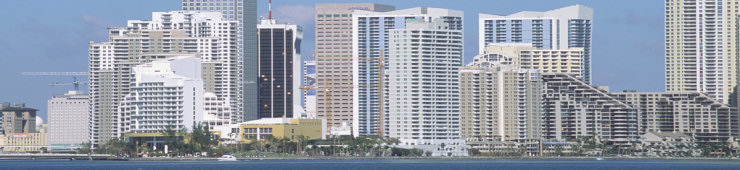 Web Design Miami Beach FL